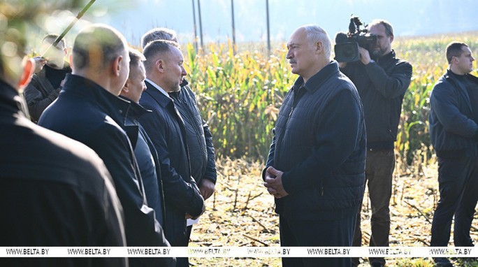 Что делать с 'горами' вокруг Солигорска? Александр Лукашенко ознакомился с экспериментом по повышению плодородия почв