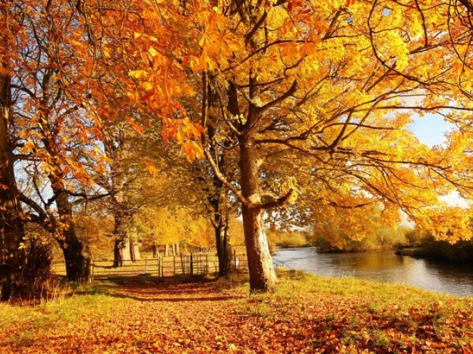 Фотомарафон “Осень тоже может быть приятной”!