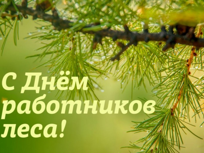 Поздравление с Днём работников леса и лесоперерабатывающей промышленности от мостовских властей